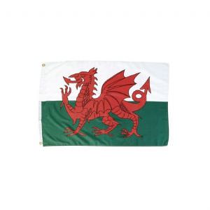 Welsh Dragon (click for enlarged image)